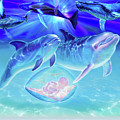 Cetaceans2